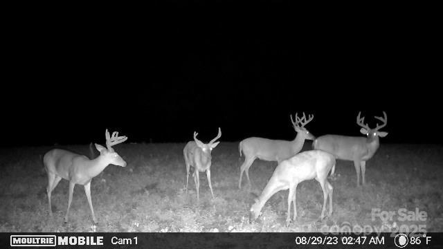 property viewer photo 25