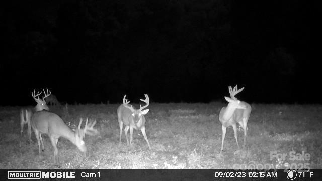 property viewer photo 26