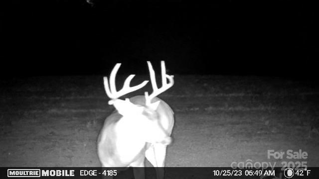 property viewer photo 27