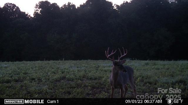property viewer photo 28