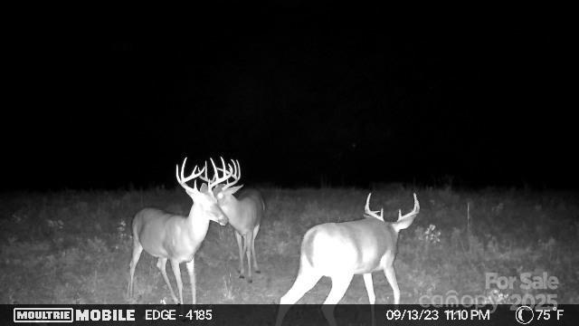 property viewer photo 29