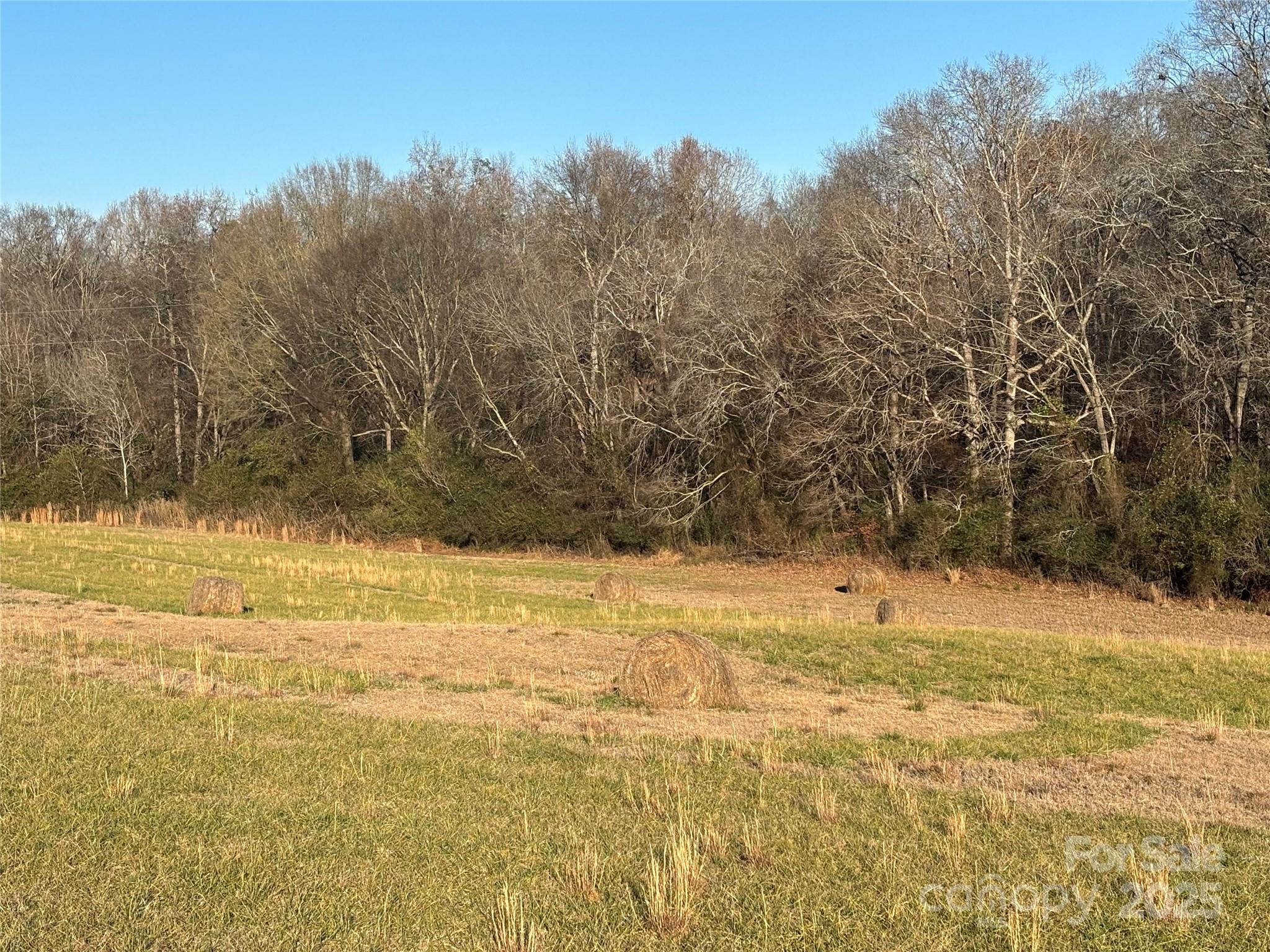 property viewer photo 3