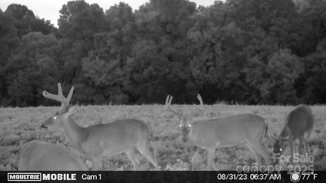 property viewer photo 30