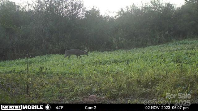 property viewer photo 31