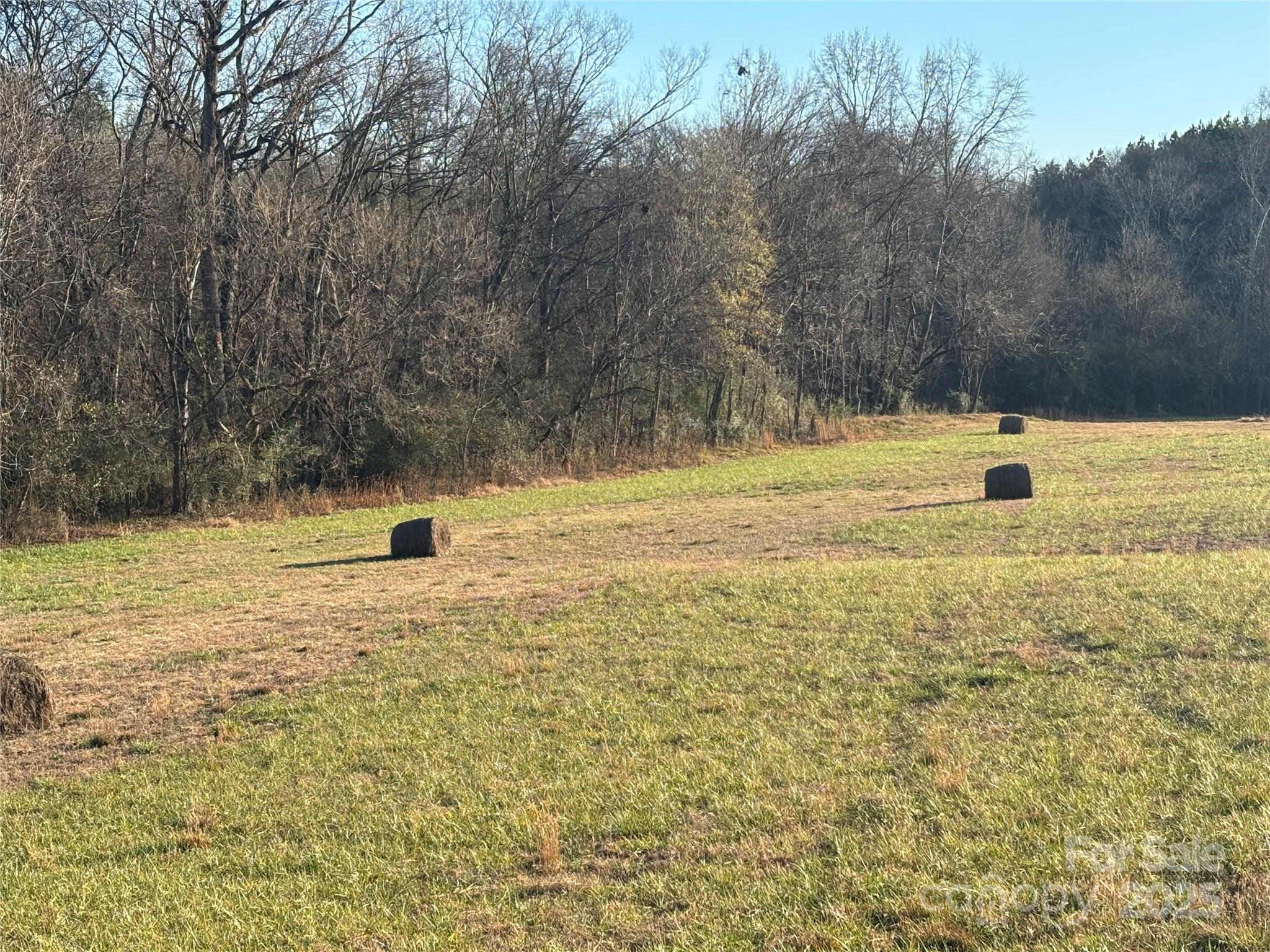 property viewer photo 6
