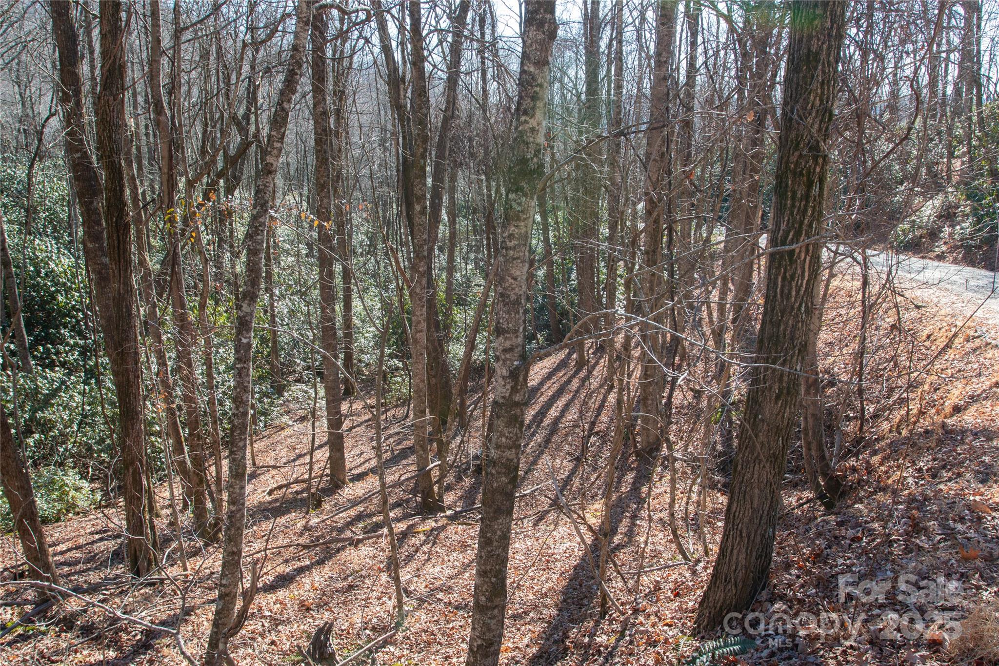 main property photo 11