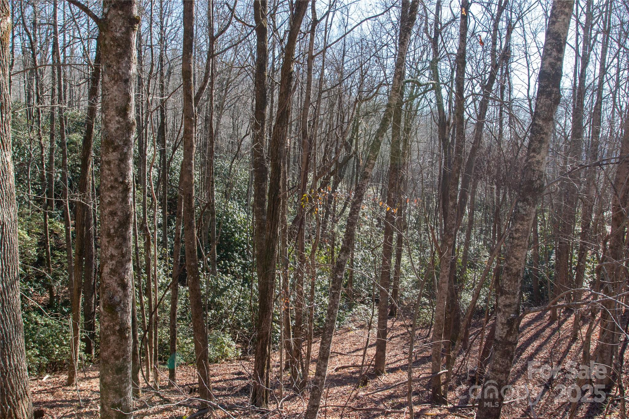 main property photo 12
