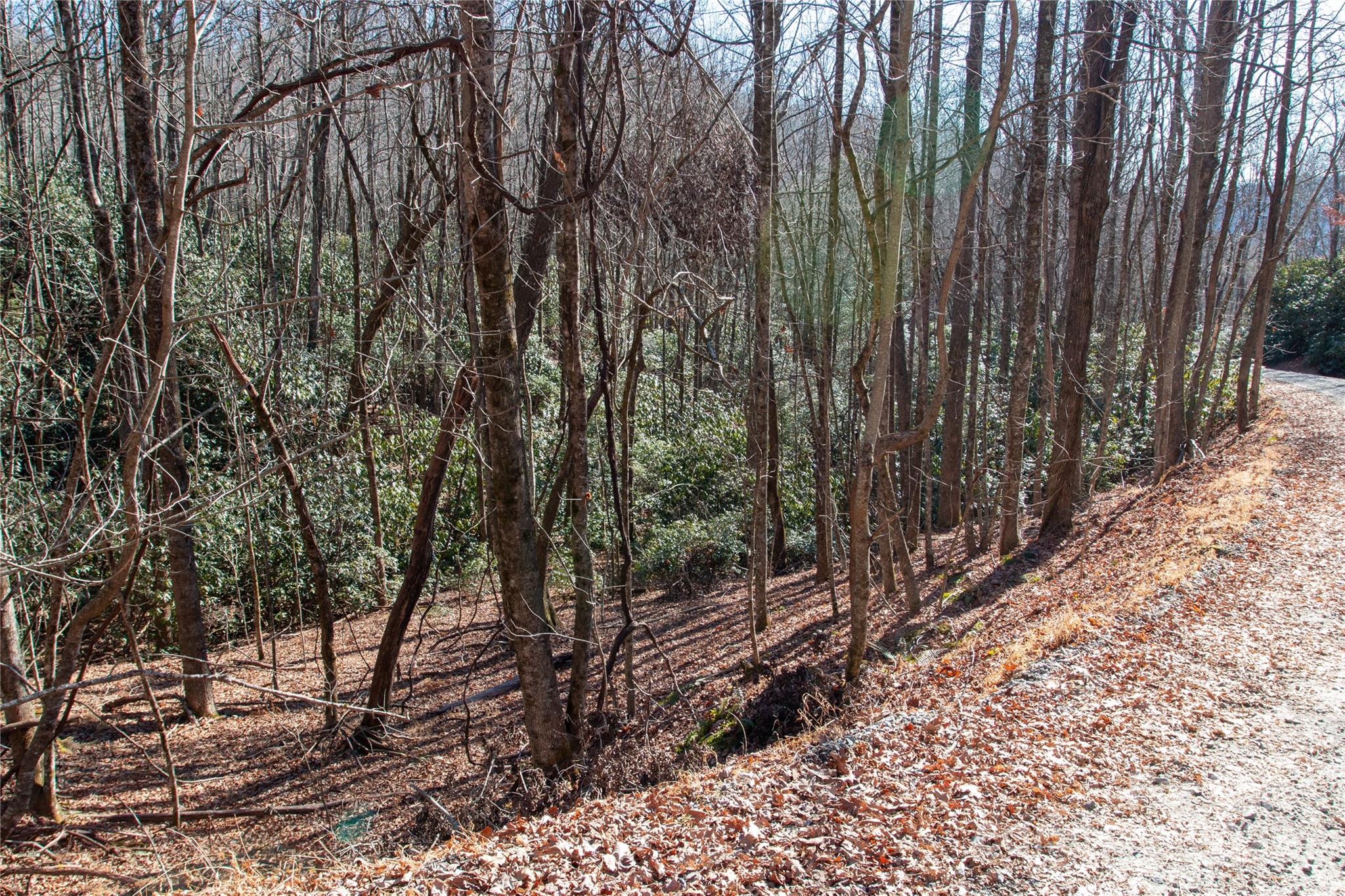 main property photo 13