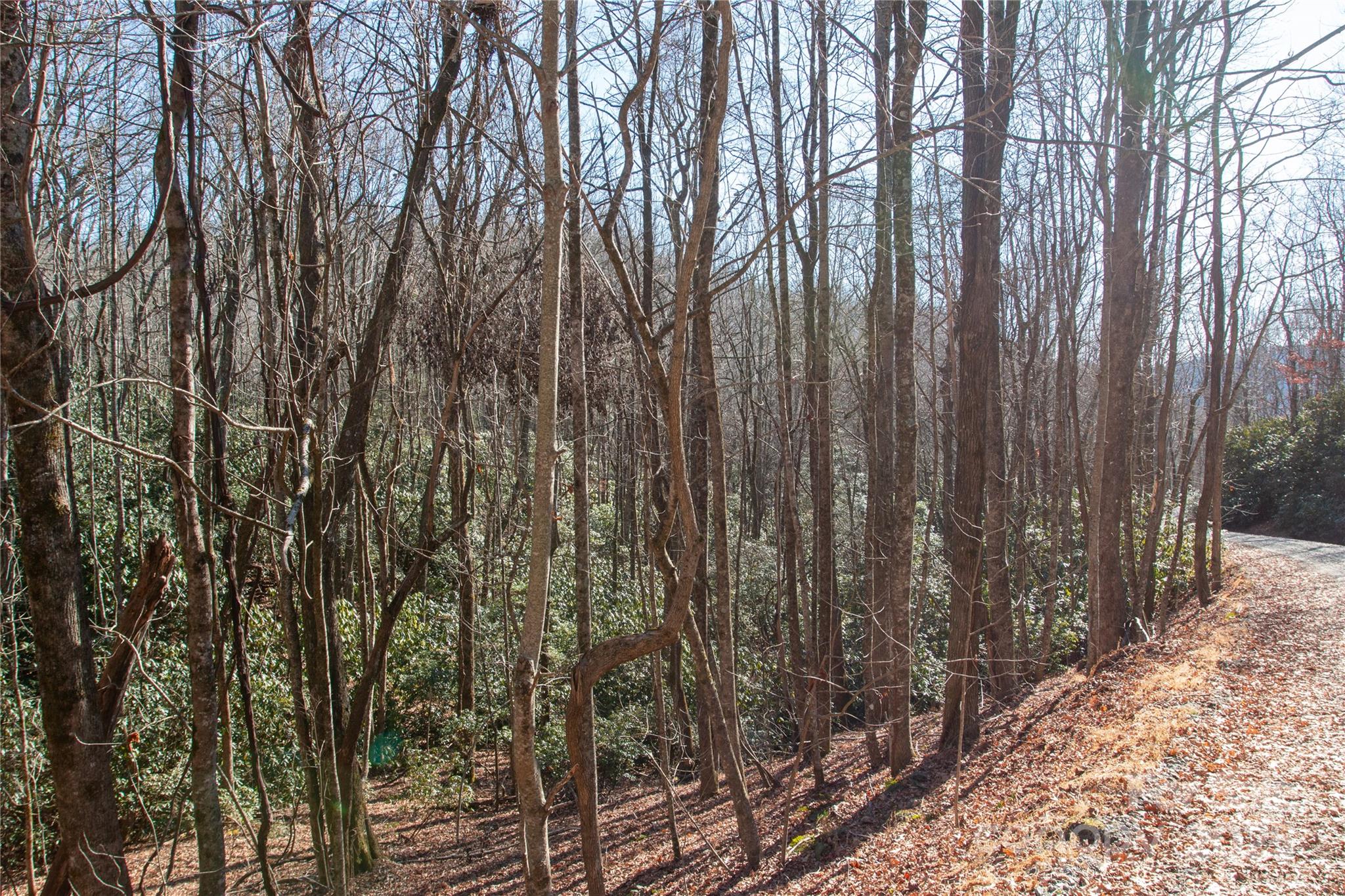 main property photo 14