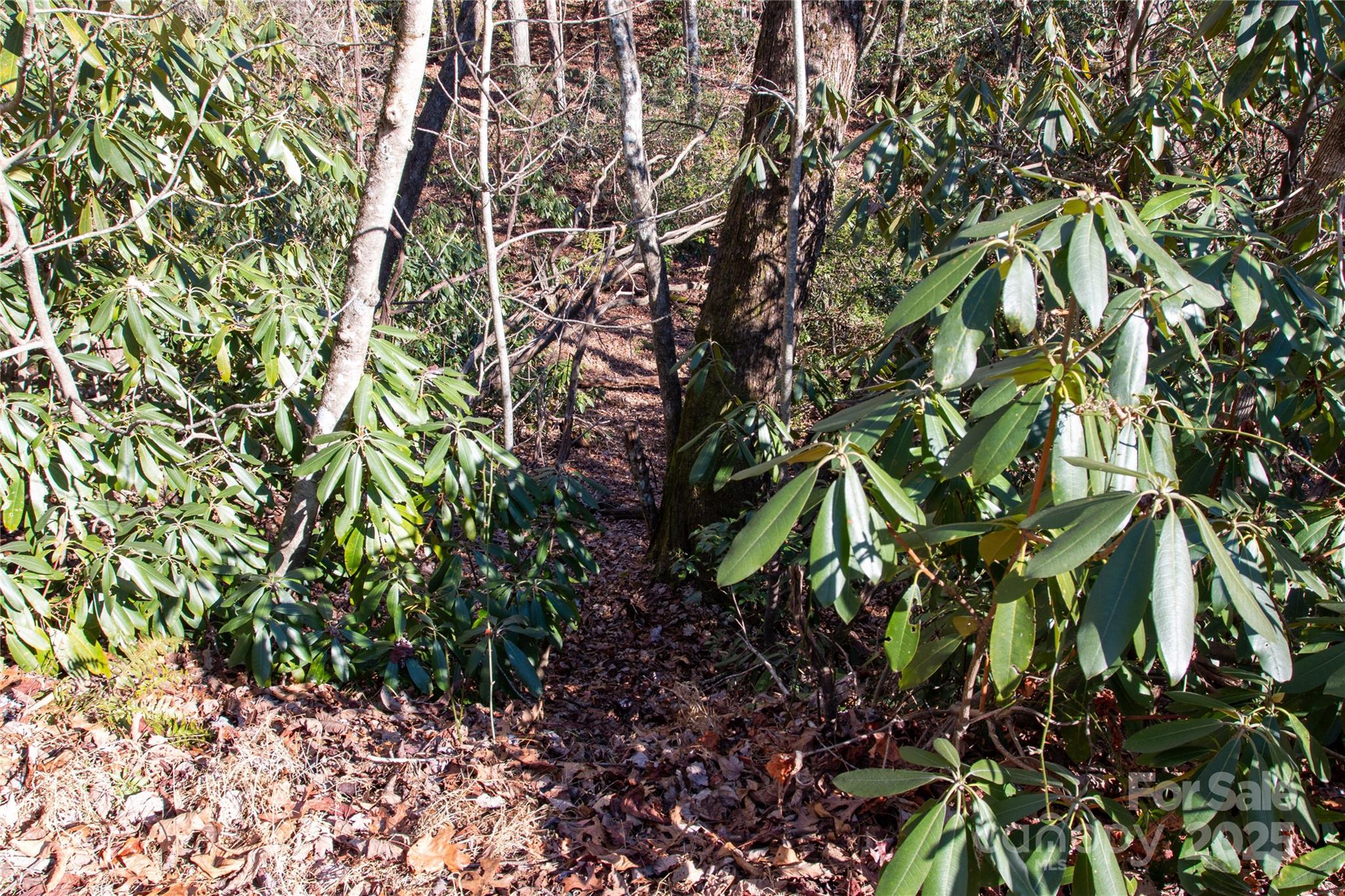 main property photo 17