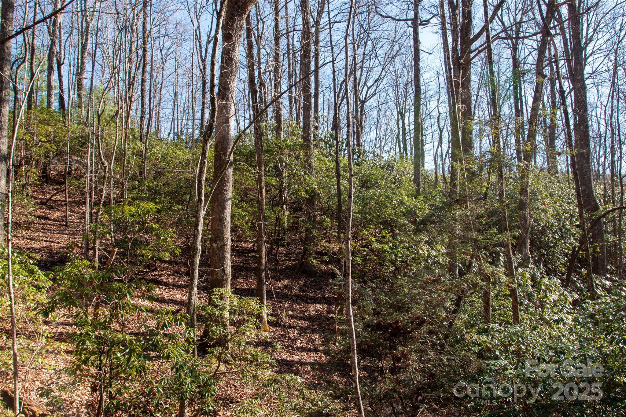 main property photo 7