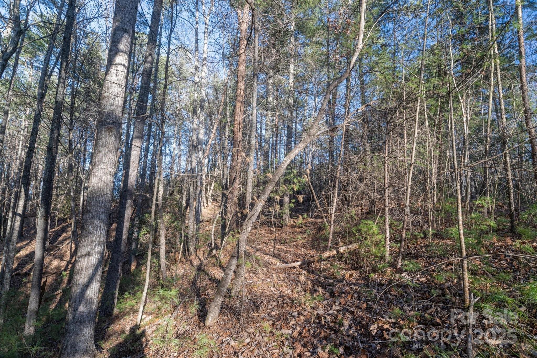 main property photo 11