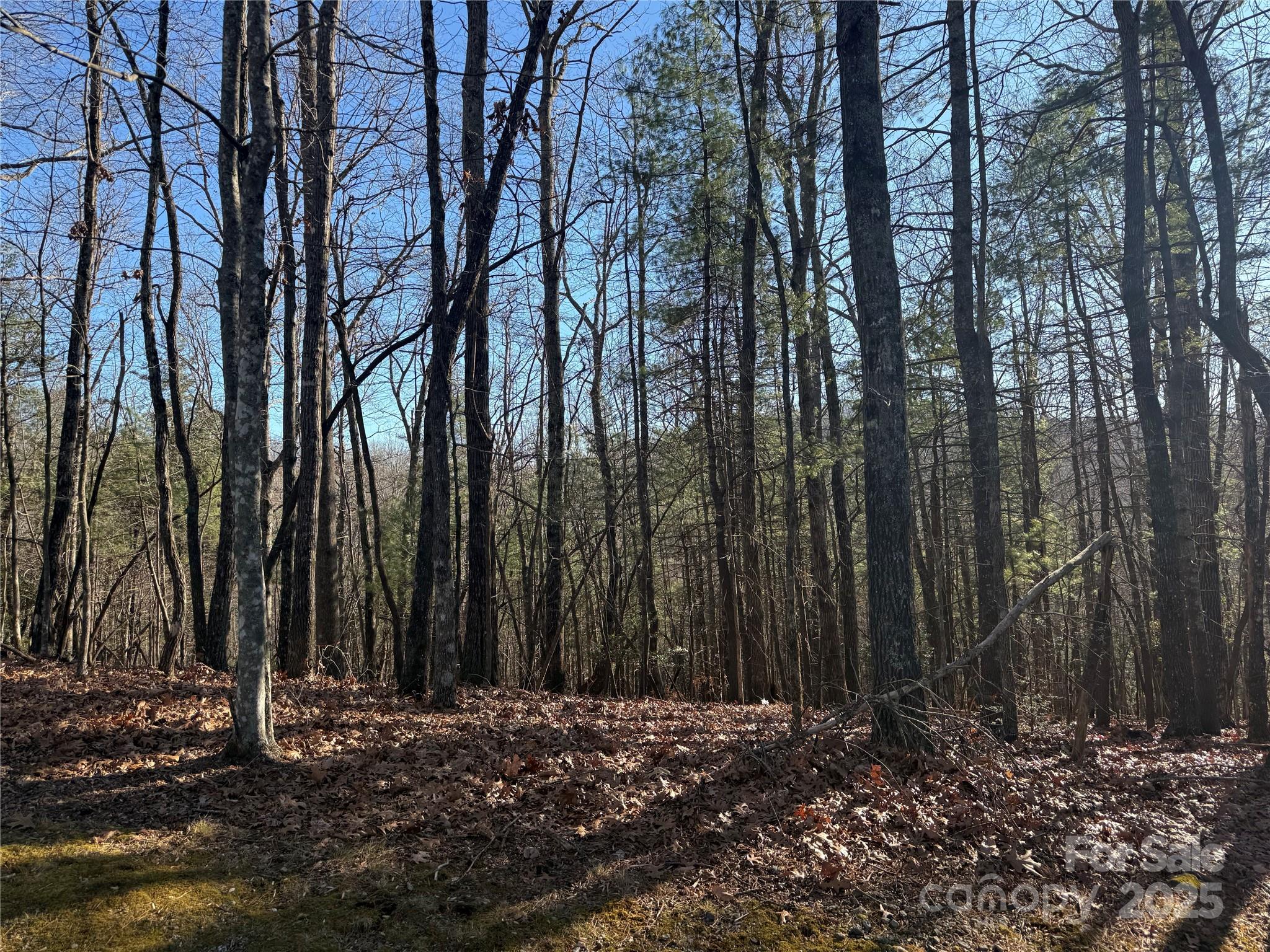 property viewer photo 2