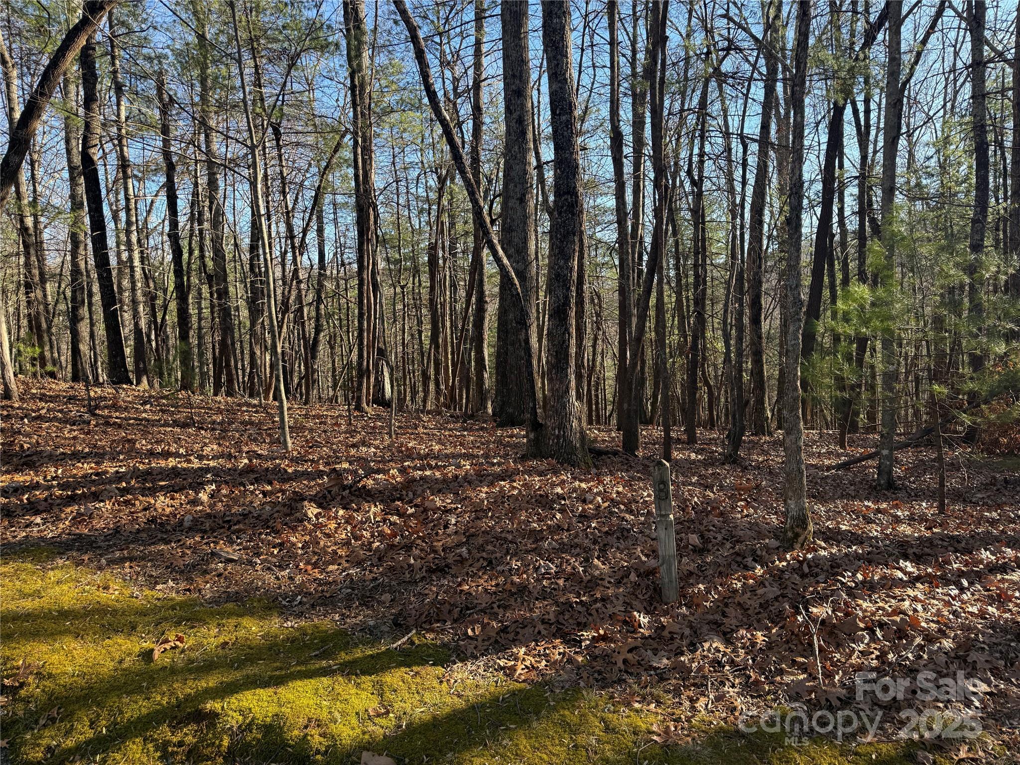 property viewer photo 4