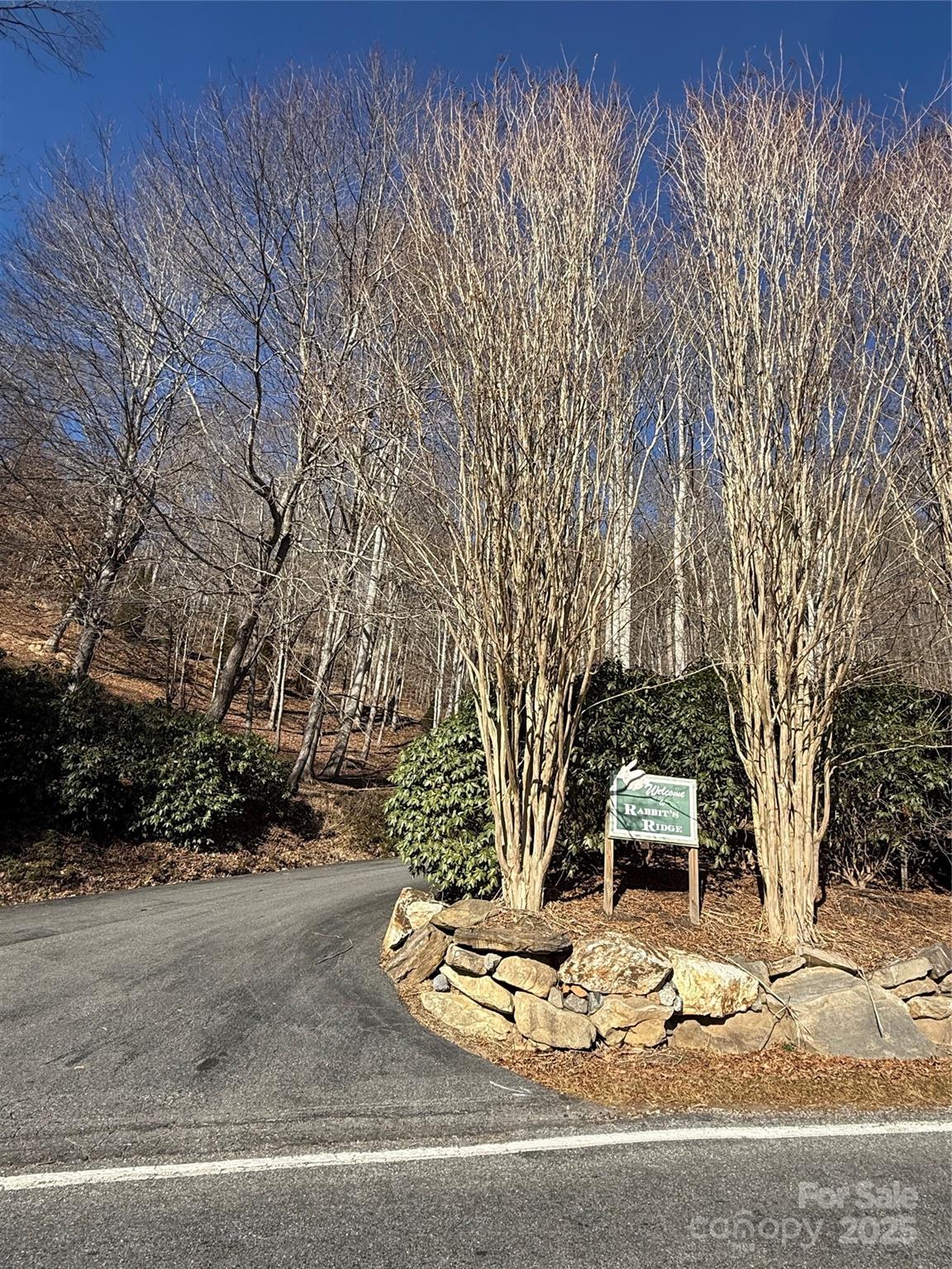 property viewer photo 4