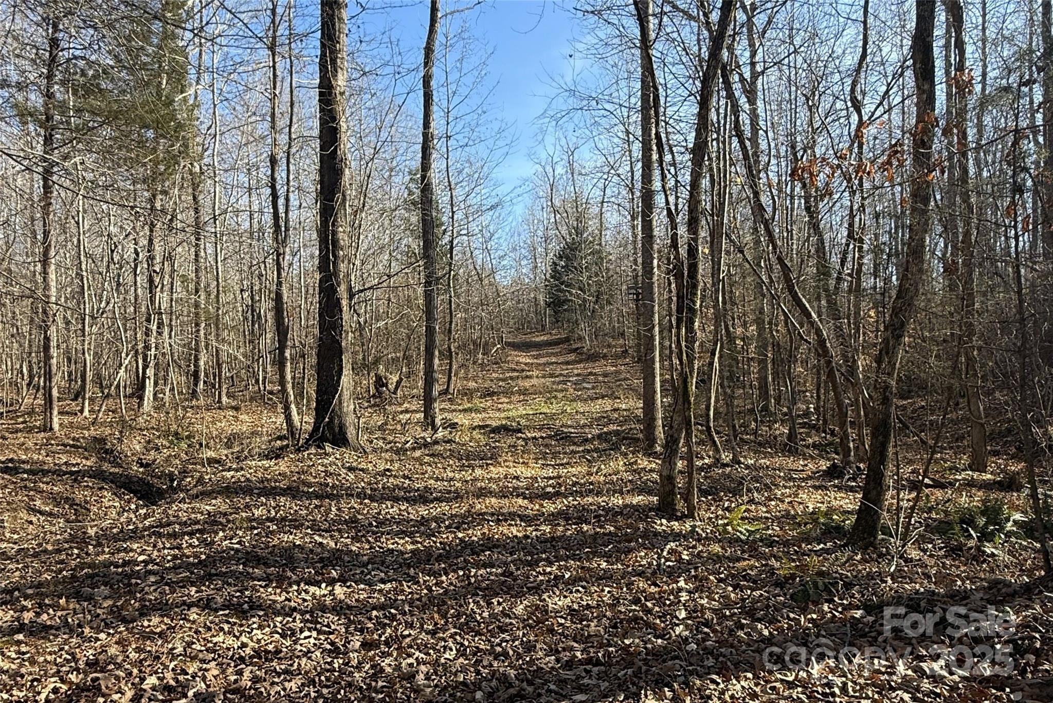 main property photo 20