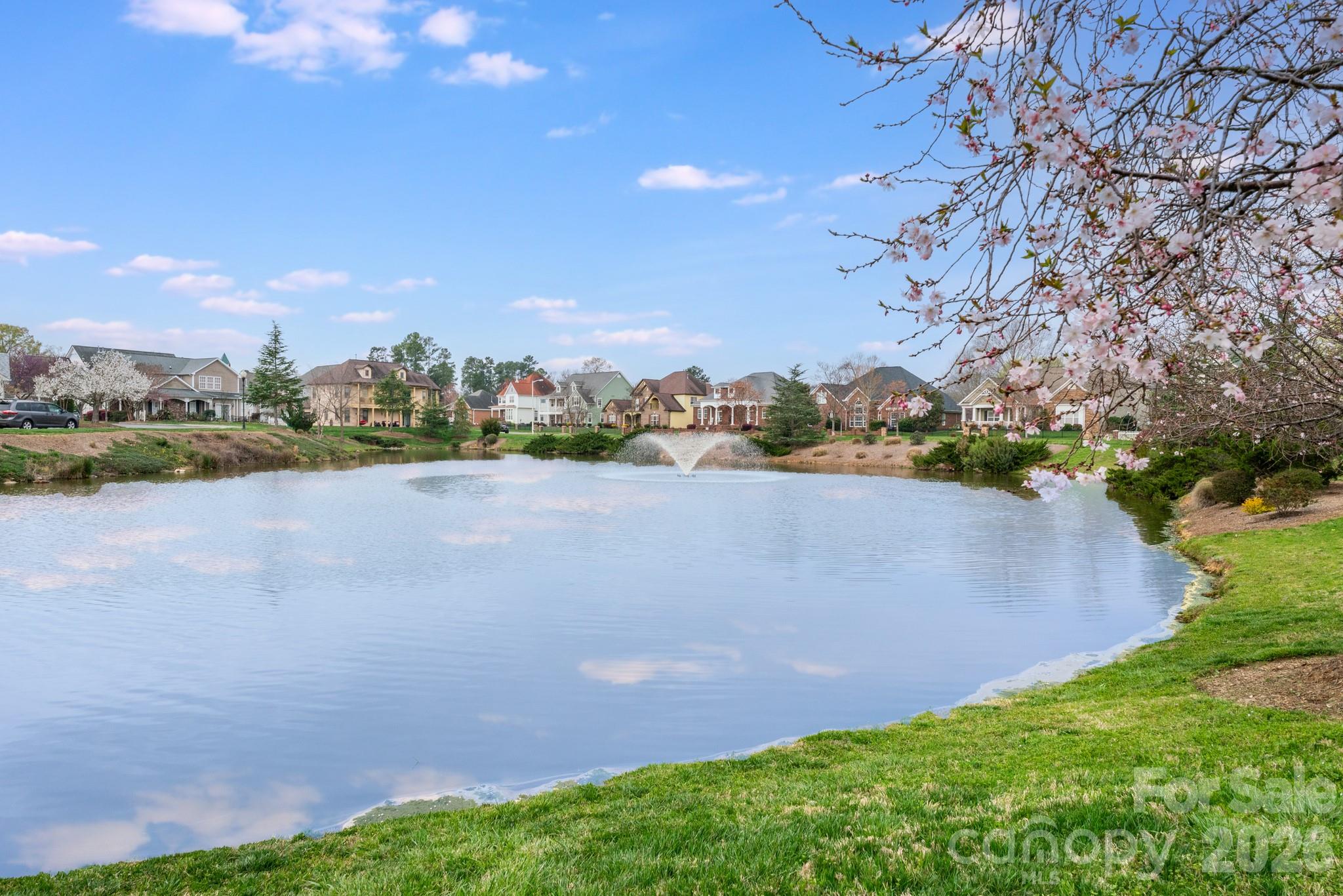property viewer photo 28