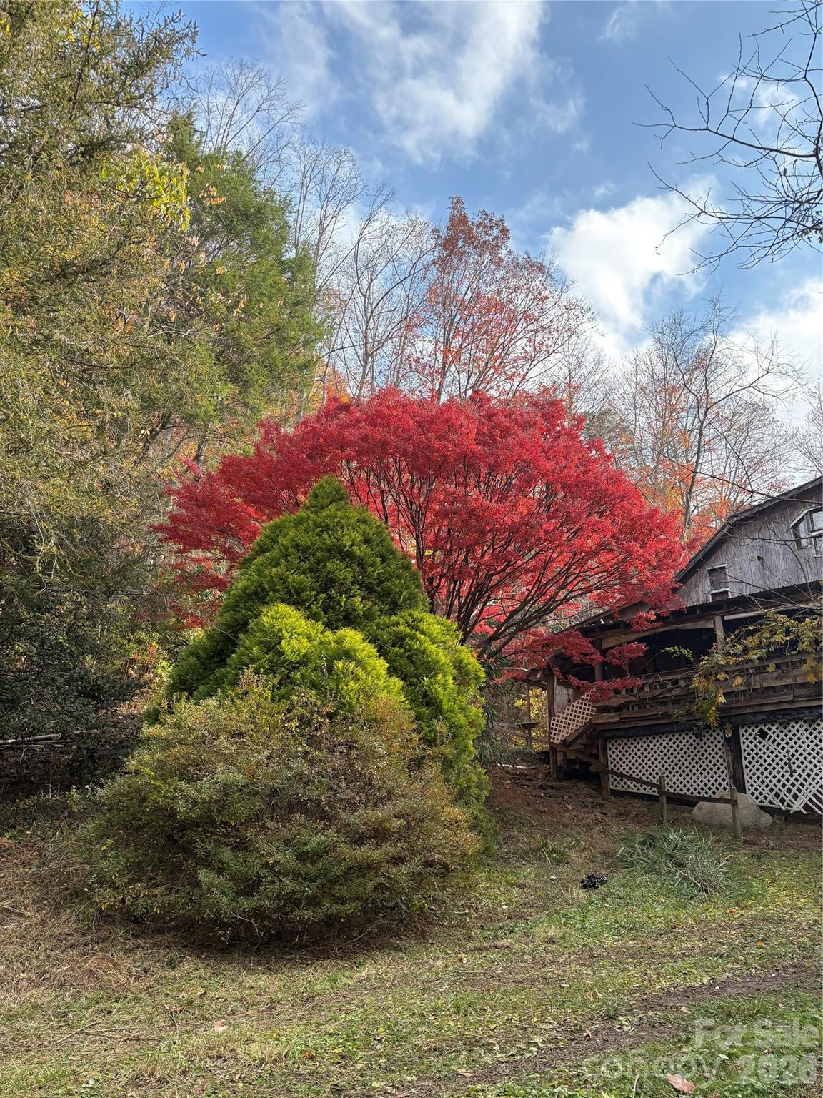 main property photo 13