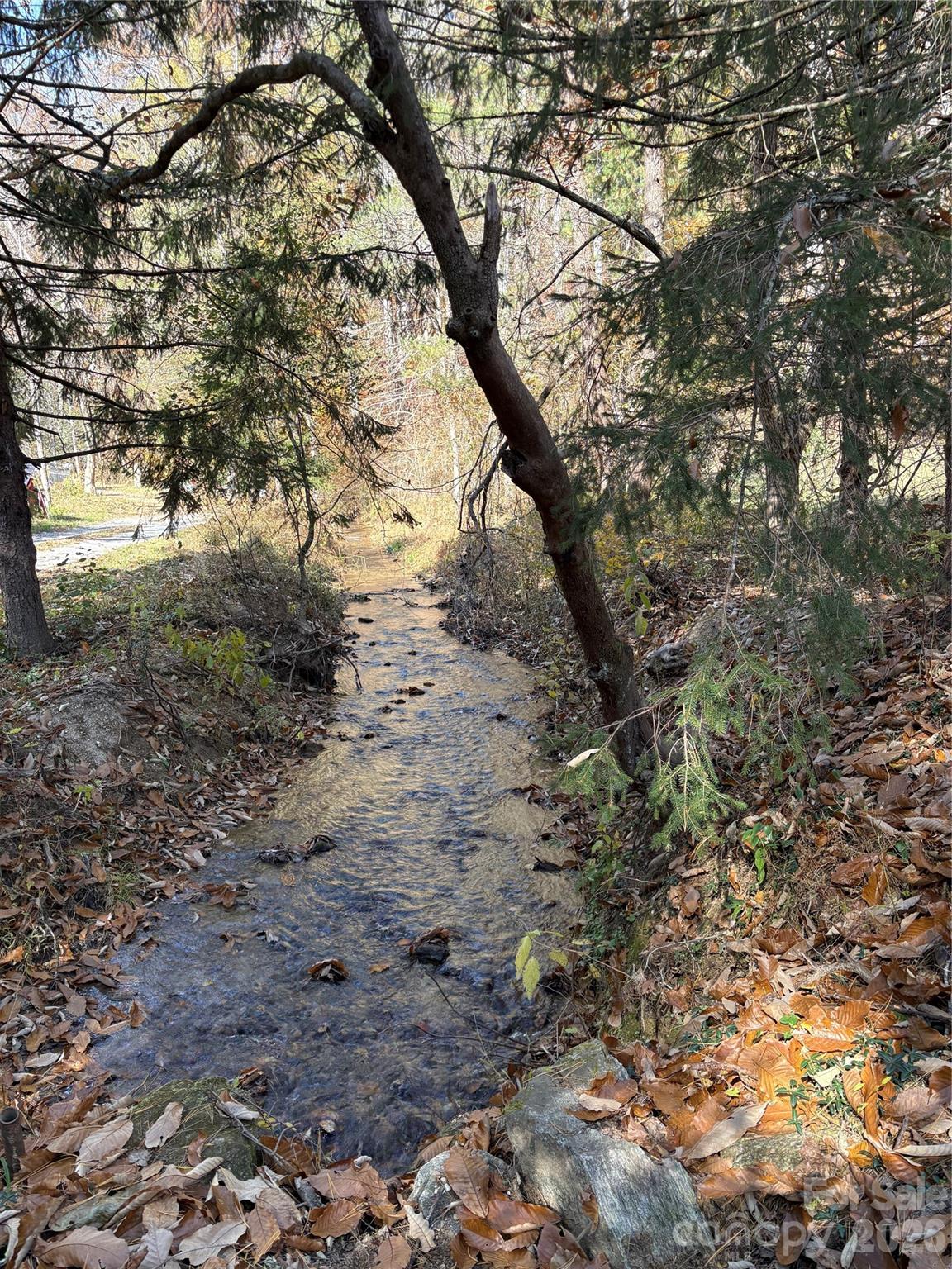 main property photo 18