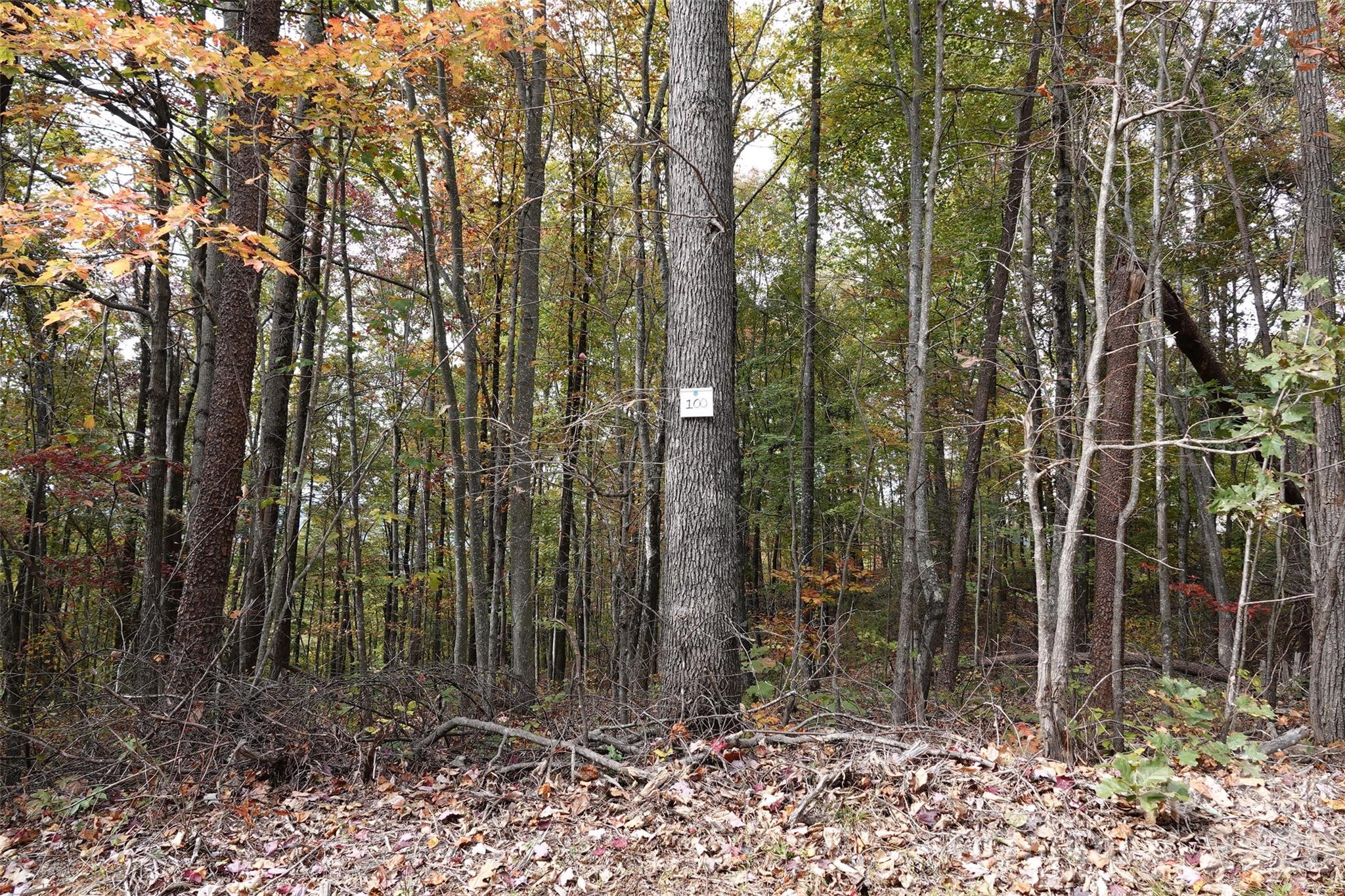 main property photo 11