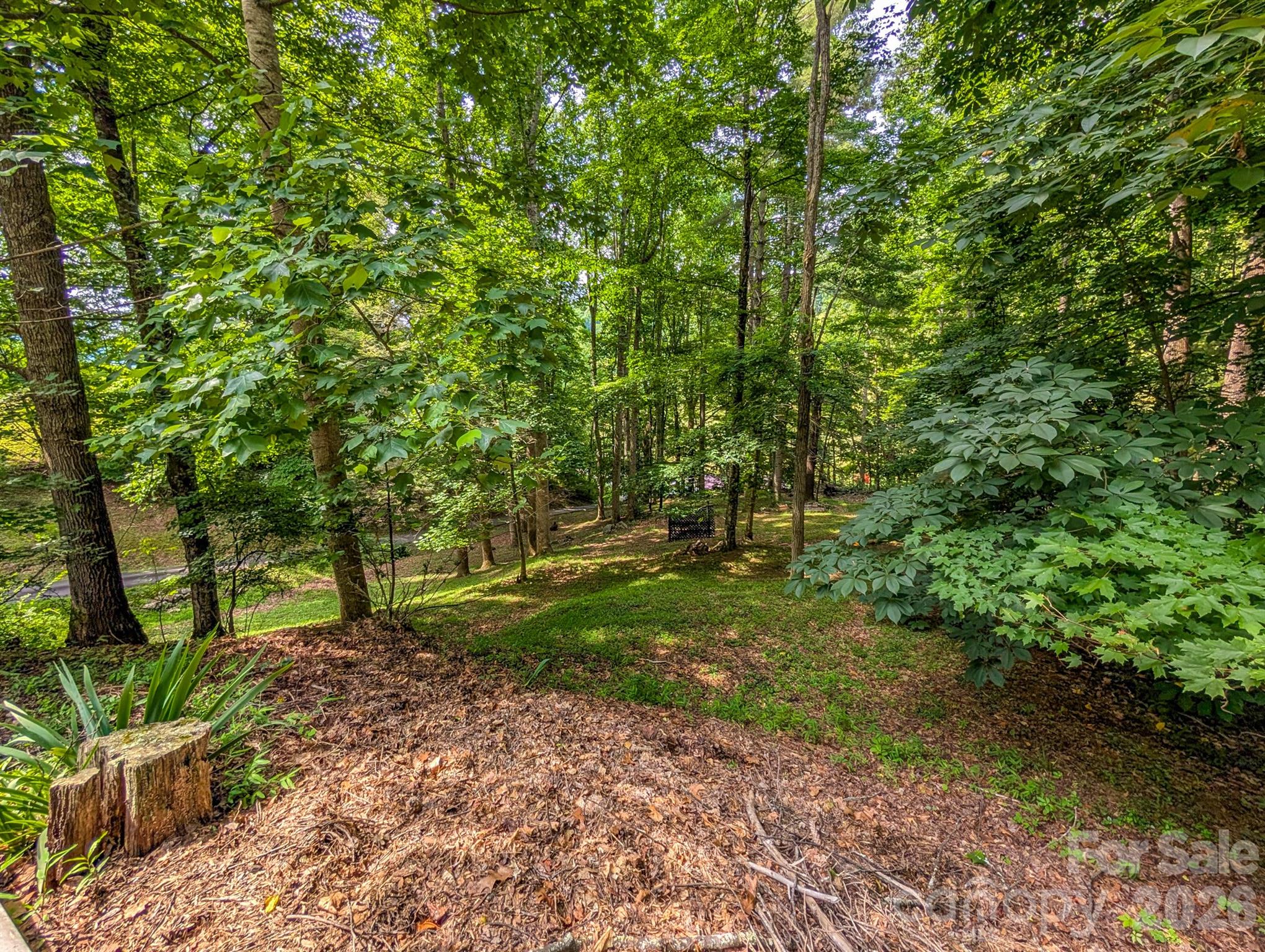 main property photo 38