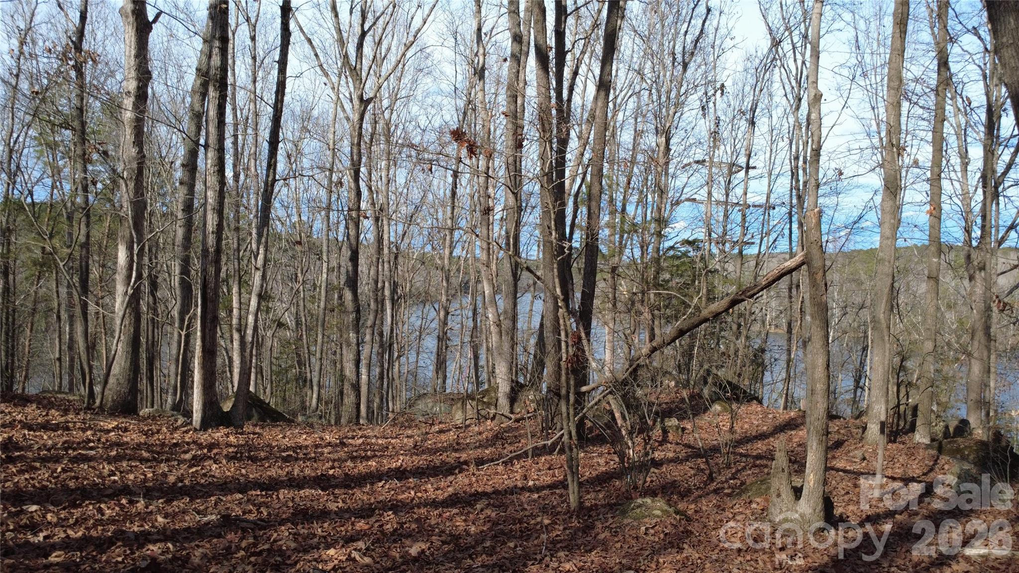 main property photo 11
