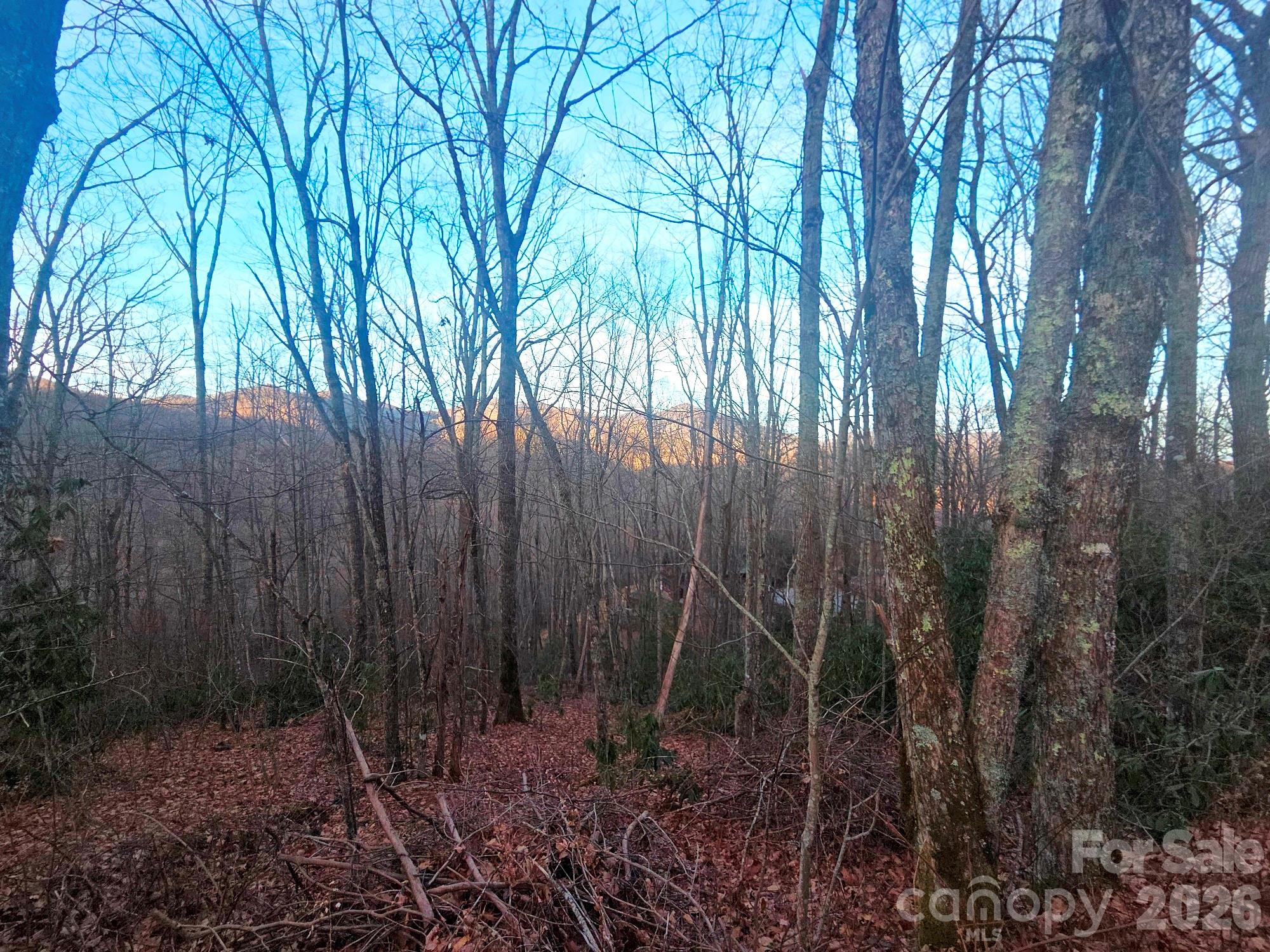 main property photo 12