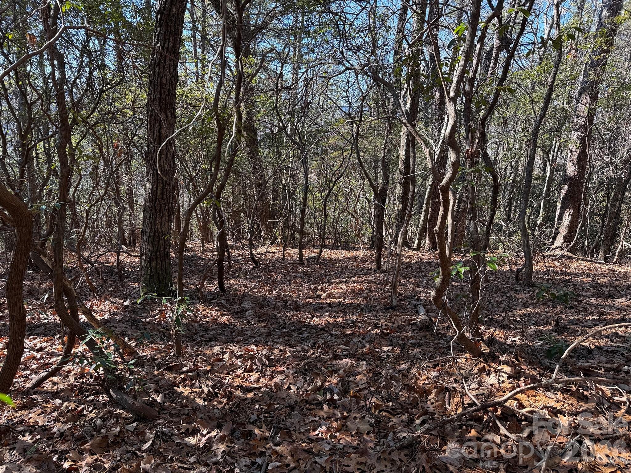 main property photo 10