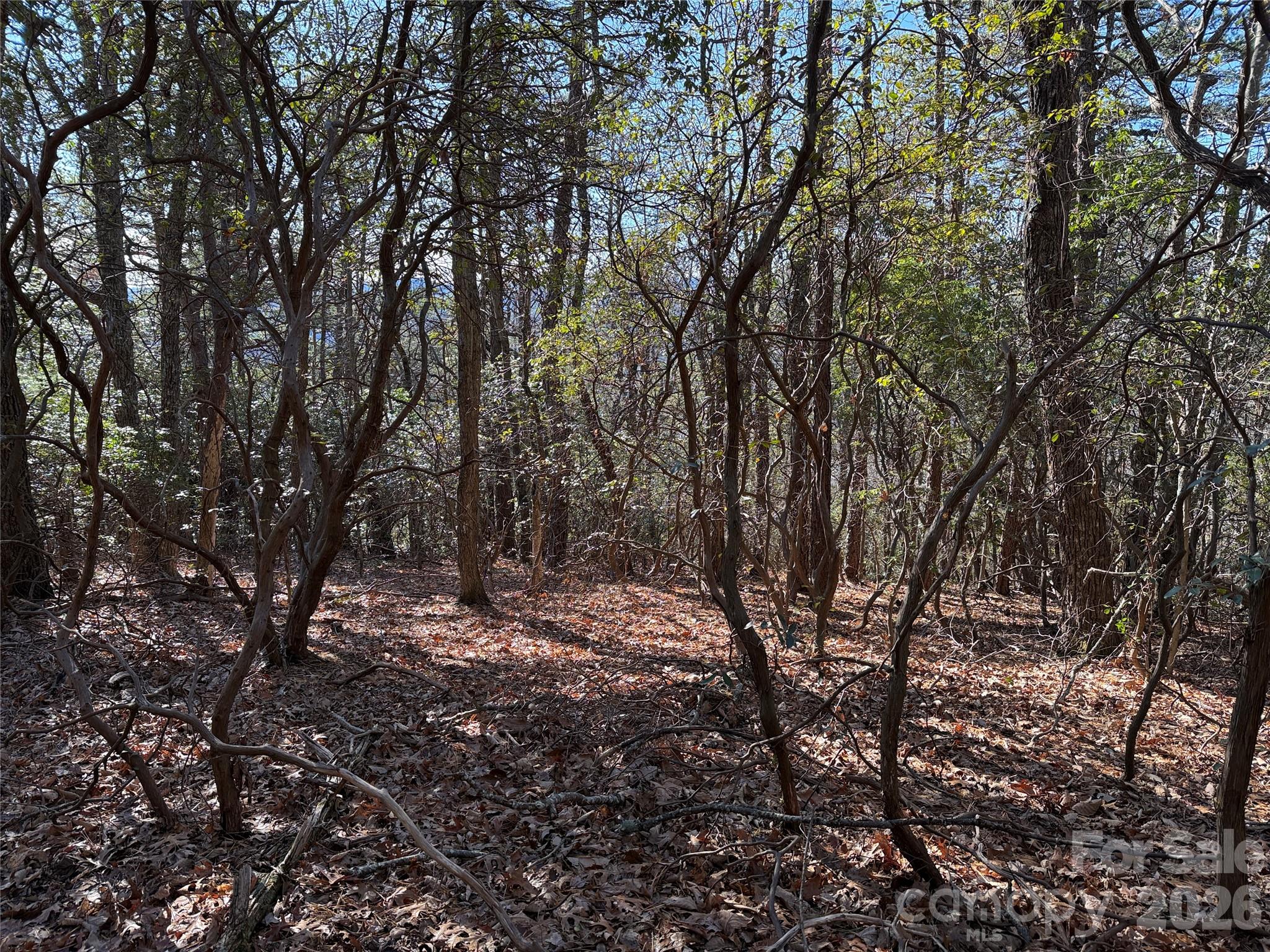 main property photo 11
