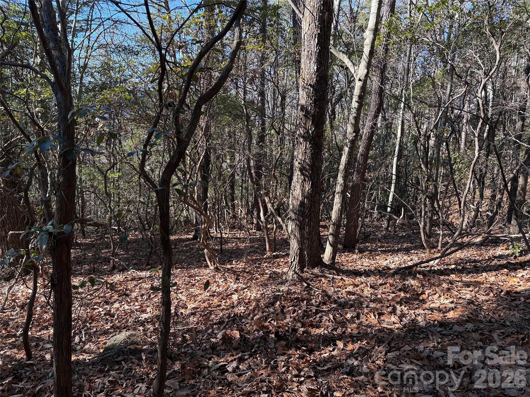 main property photo 12