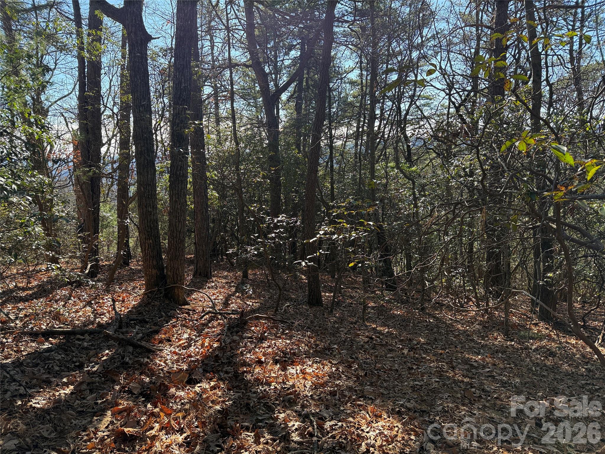 main property photo 14