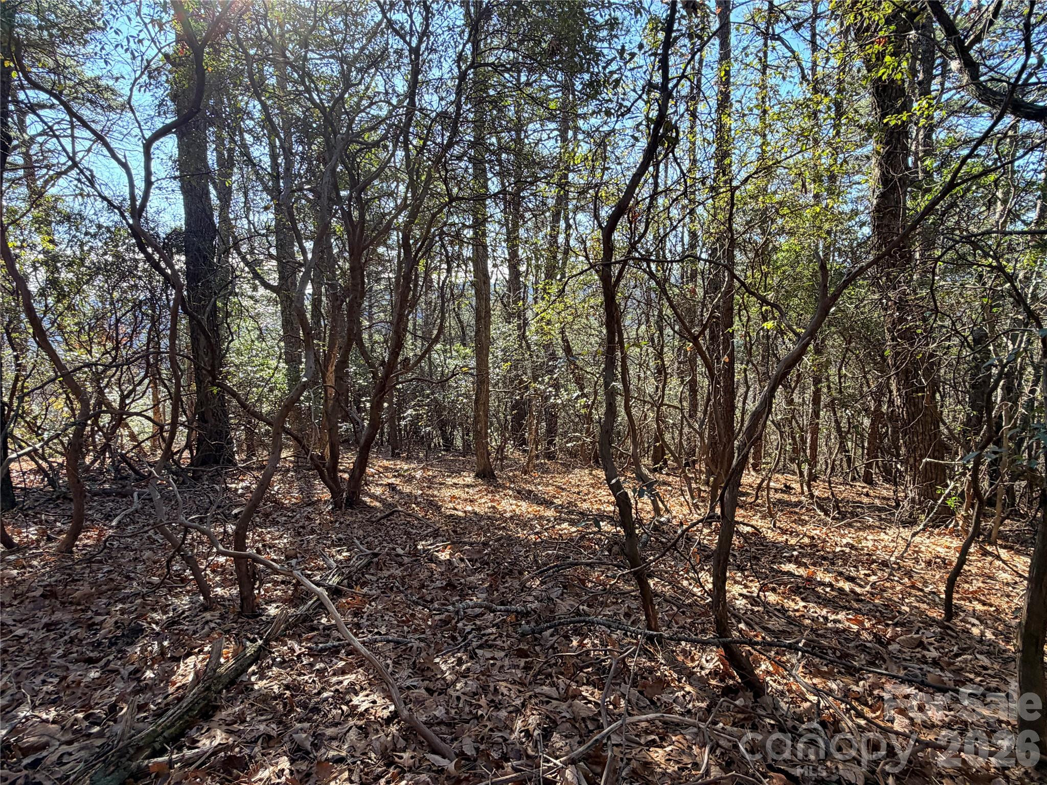 main property photo 9