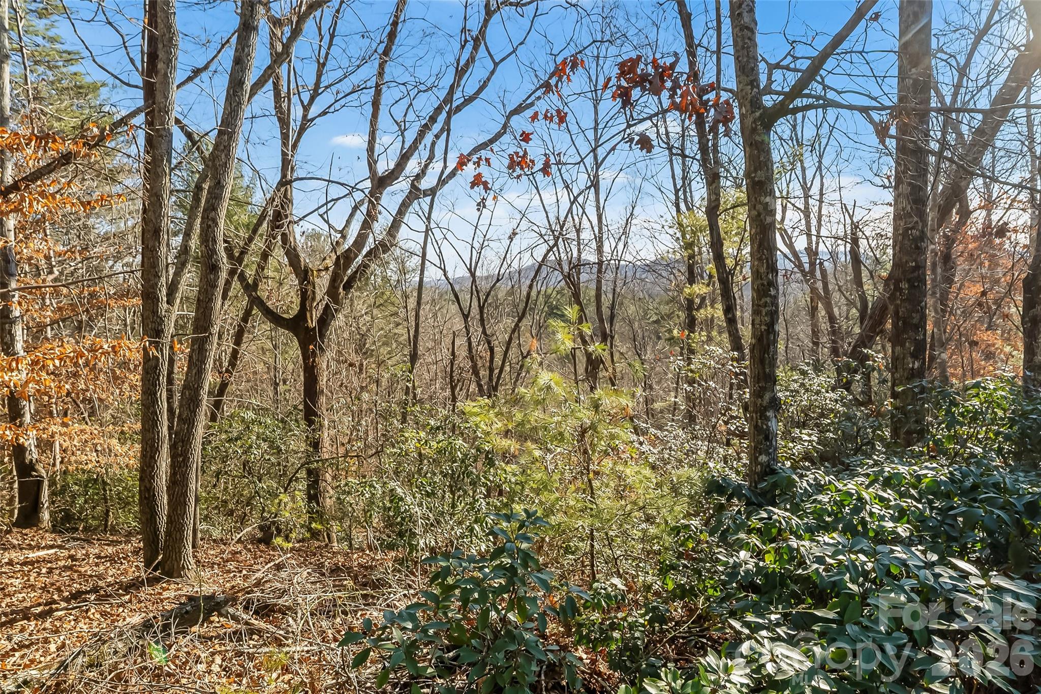 main property photo 10