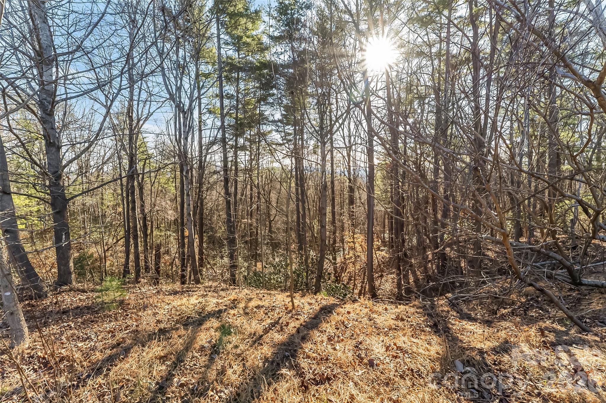 main property photo 11