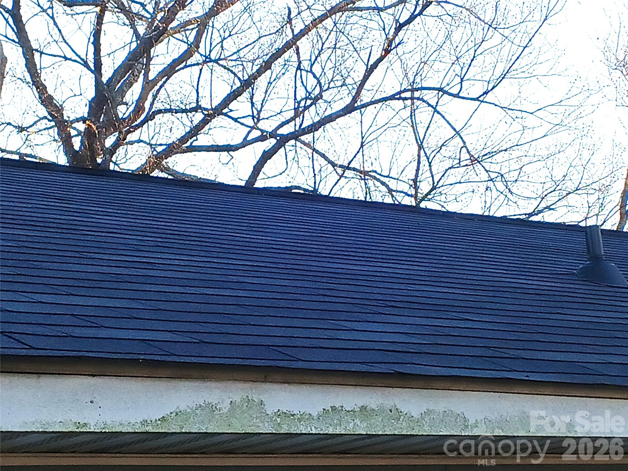 property viewer photo 4