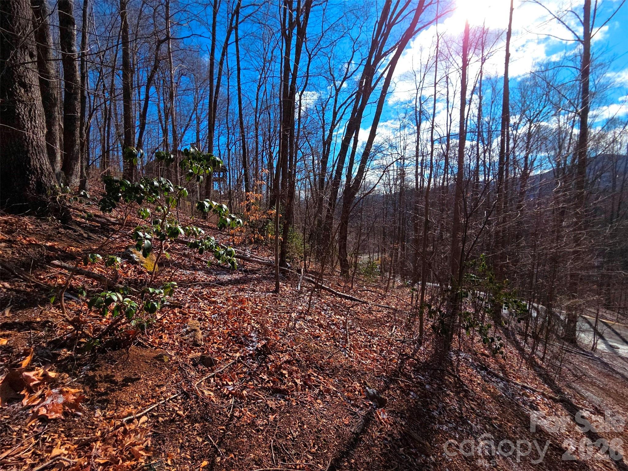main property photo 14