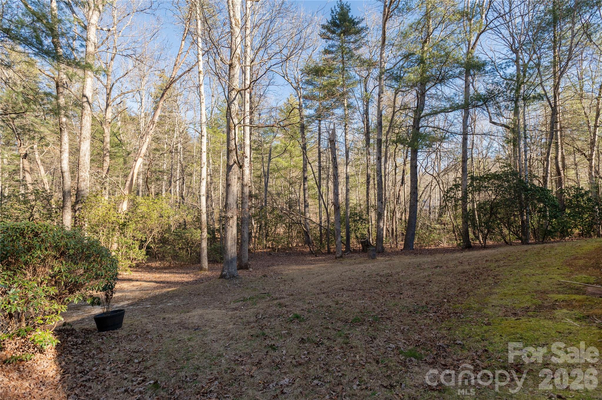 main property photo 19