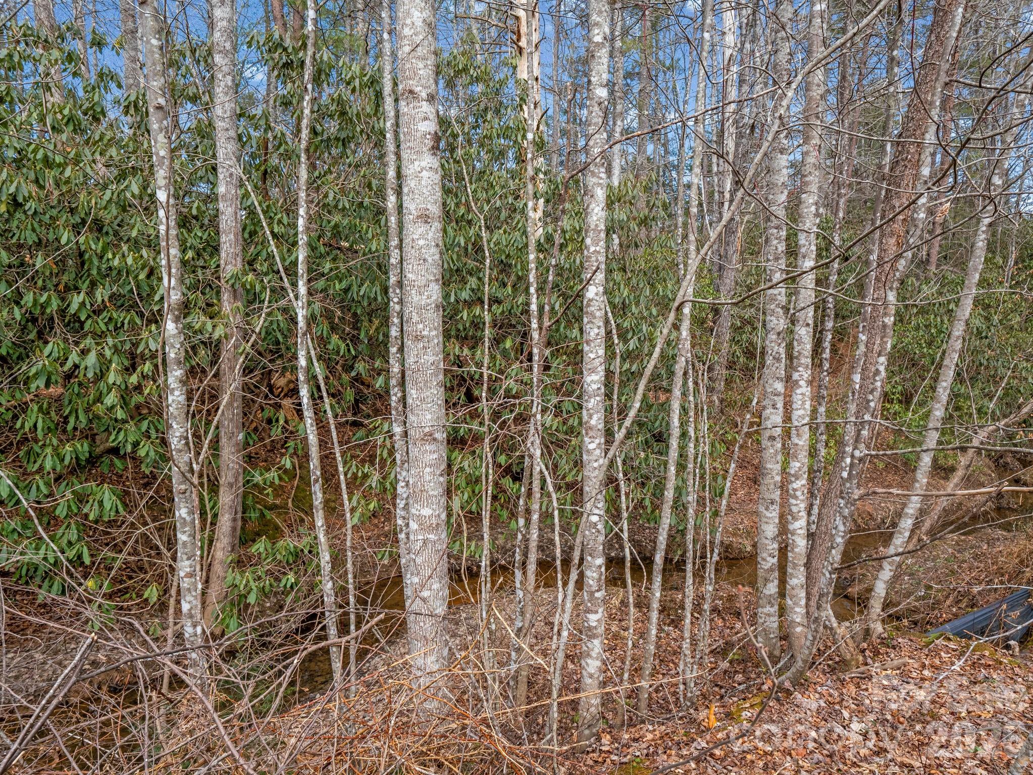 main property photo 33