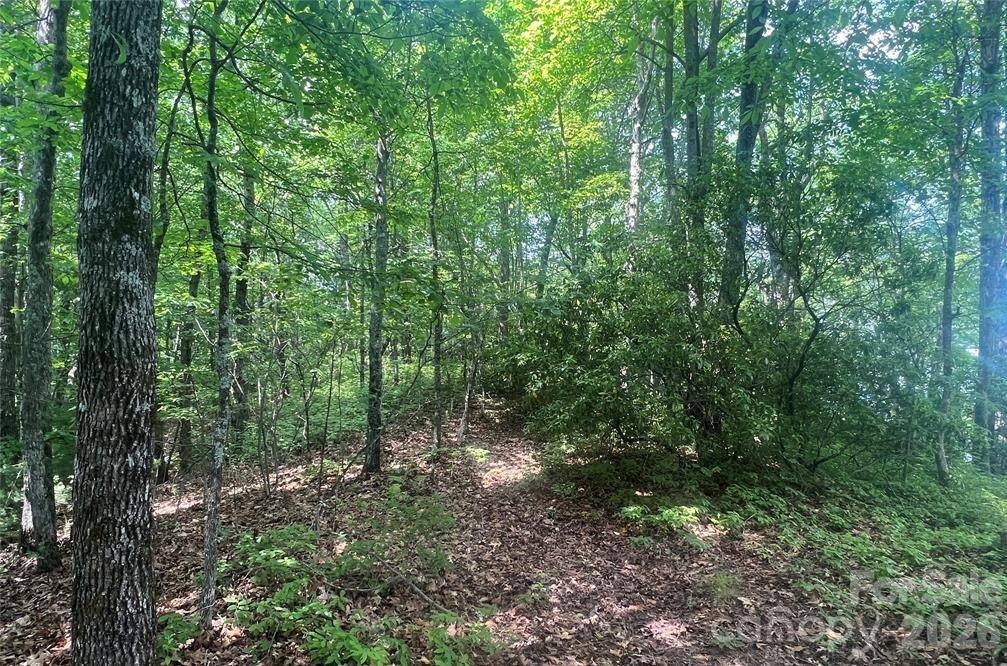 main property photo 11