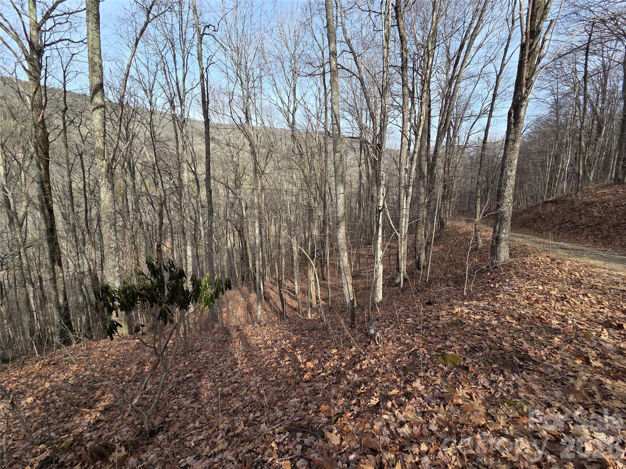 main property photo 13