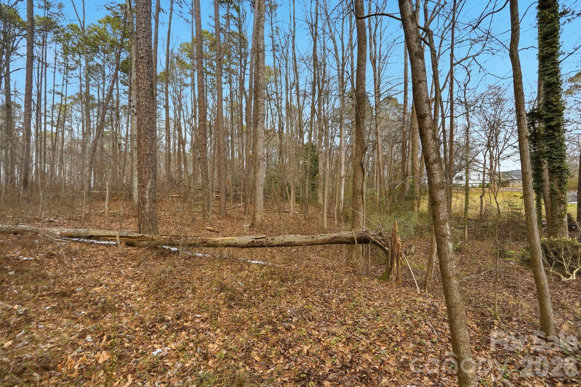 main property photo 46