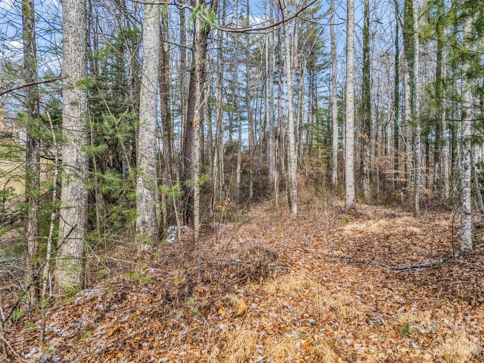 main property photo 27