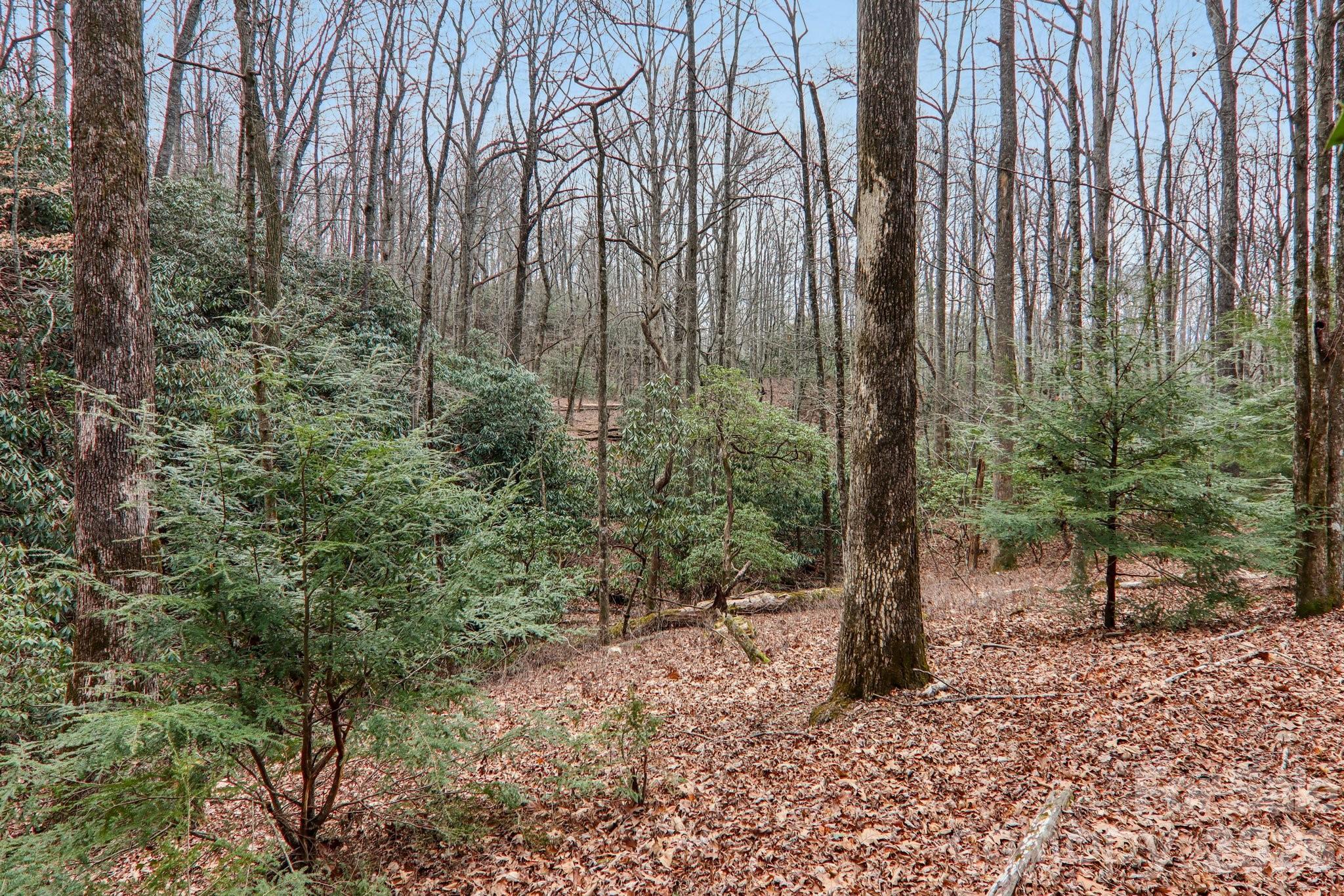 main property photo 34
