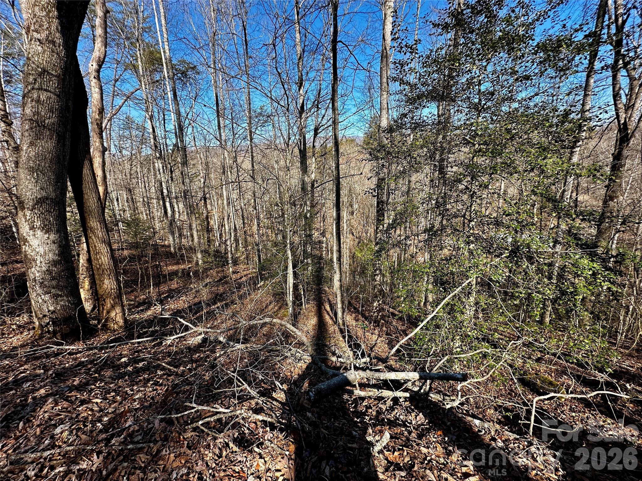 main property photo 13
