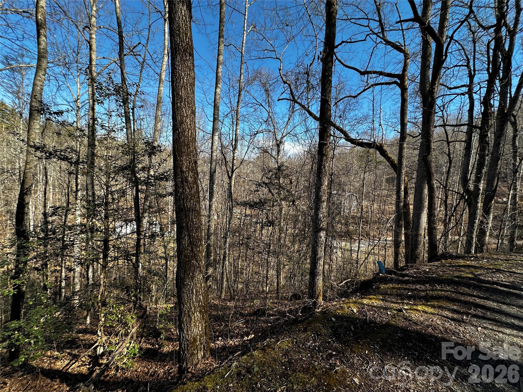 main property photo 18