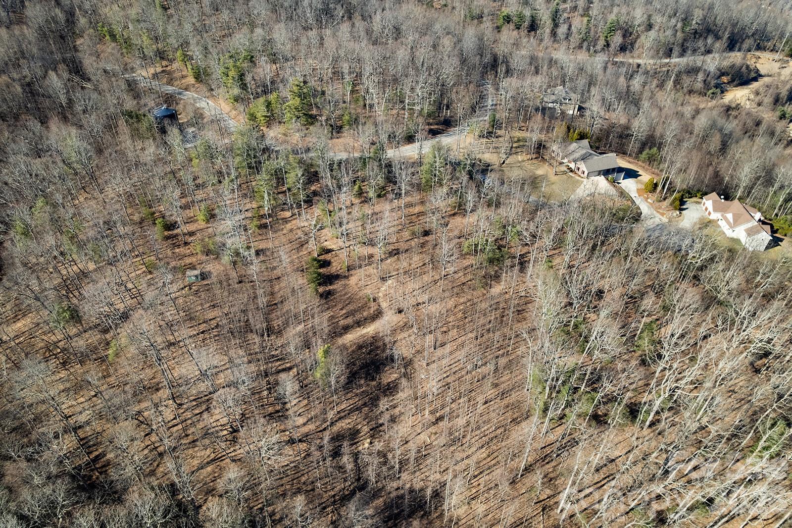 main property photo 11
