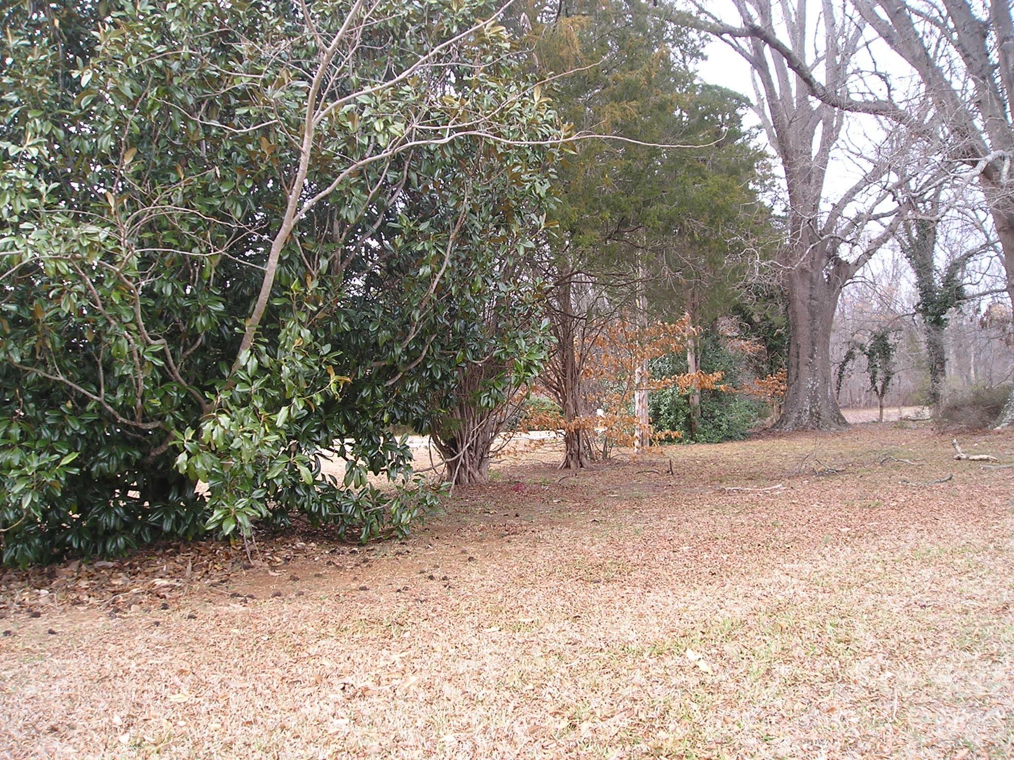main property photo 17