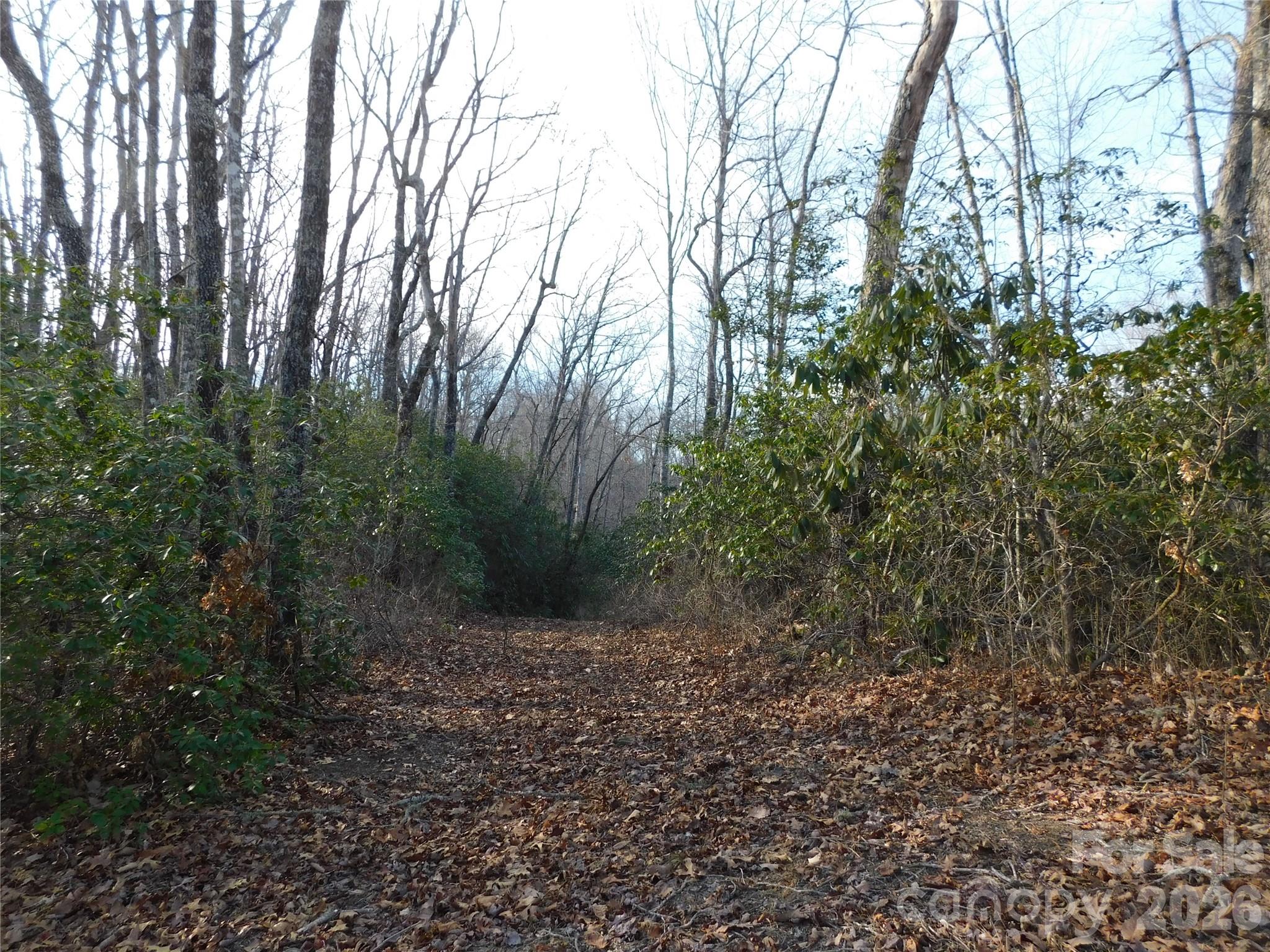 main property photo 9