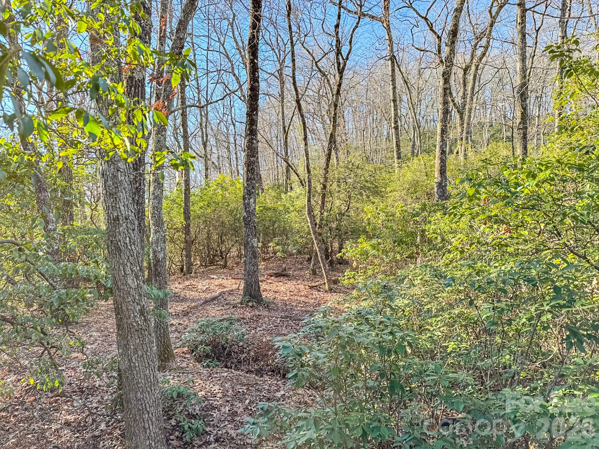 main property photo 24