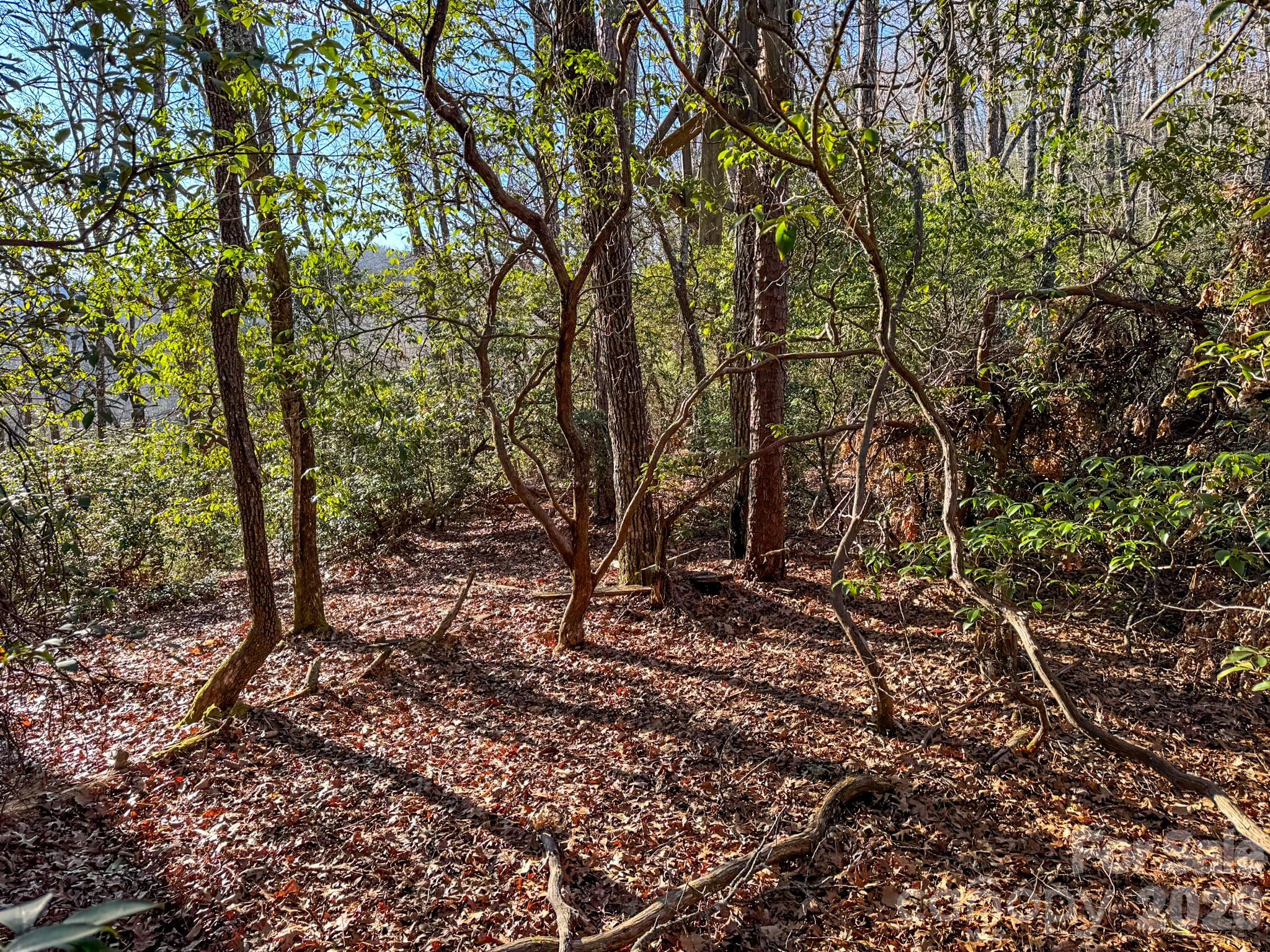 main property photo 28